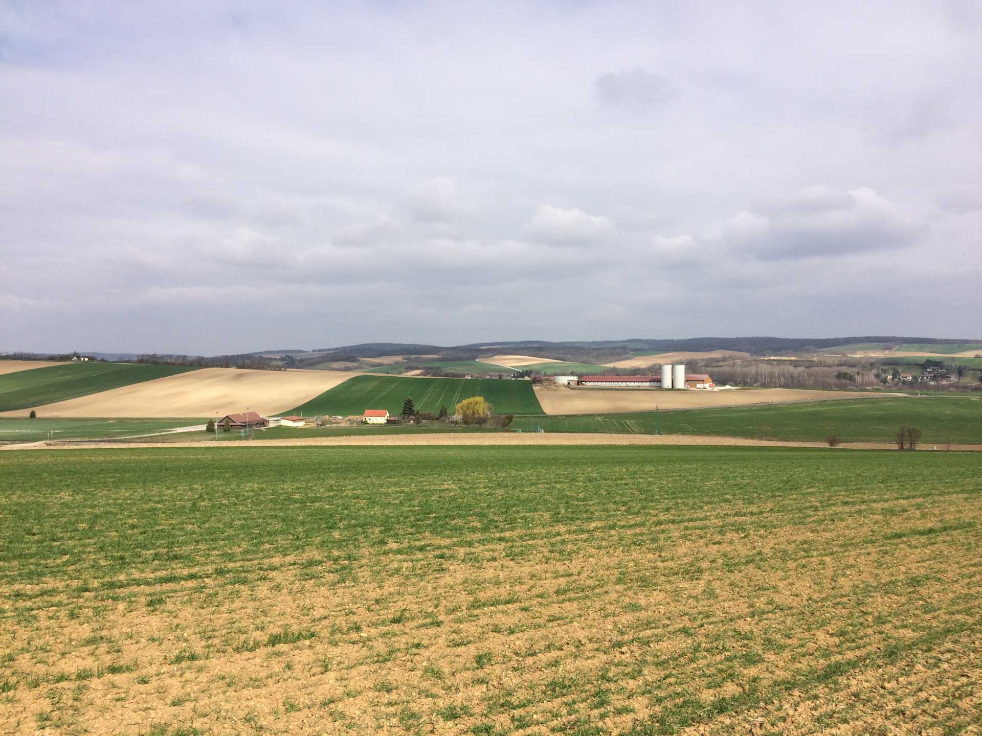 Blick auf die Fundstelle Asparn/Schletz, © Franz Pieler